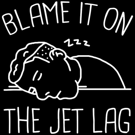 Blame It On The Jet Lag Dog Bandana