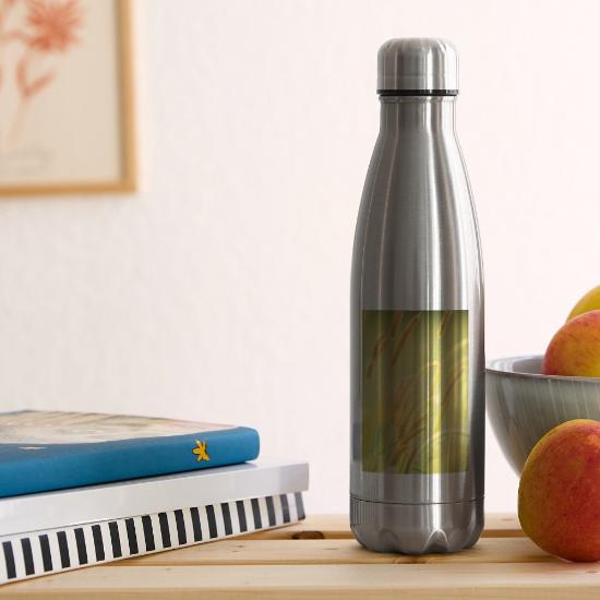 African Bristle Grass 17 oz Insulated Stainless Steel Water Bottle
