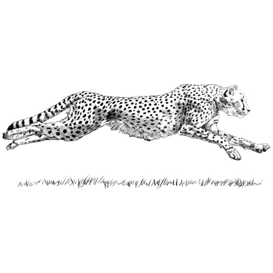 Cheetah Sprint Over Grass 40 oz Travel Tumbler