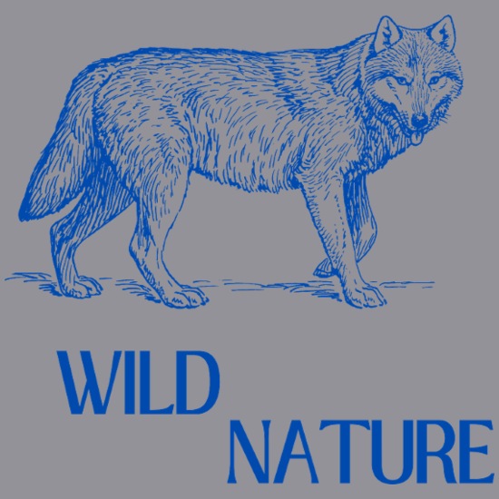 Wild Nature Men’s Soft Shell Jacket 5 Wild Nature Men’s Soft Shell Jacket