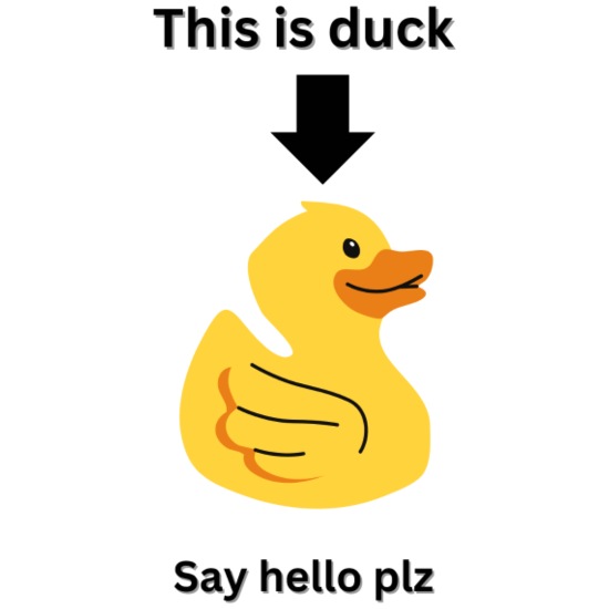 This is duck Buttons small 1'' (5-pack)