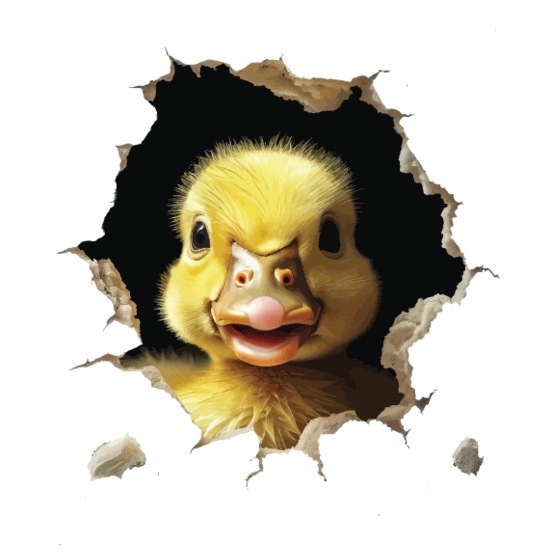 Duck Buttons large 2.2'' (5-pack)
