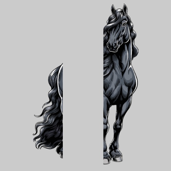 Beautiful Horse for a Horsewoman Women’s Cropped Hoodie & Jogger Short Set