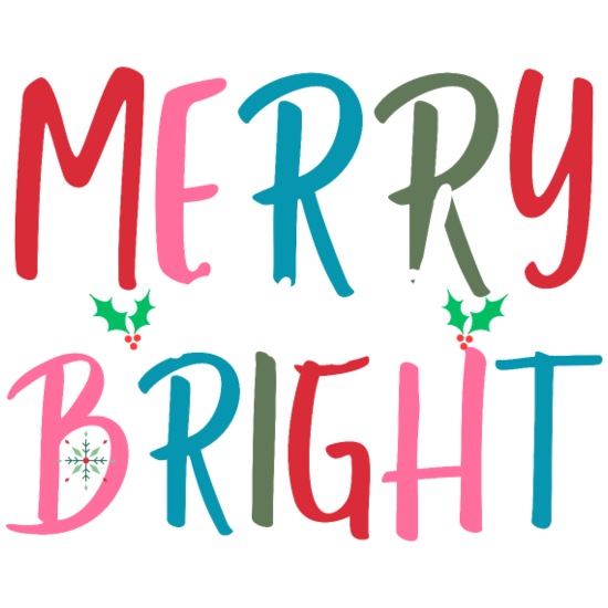 Merry And Bright Infant Baby Rib Dress