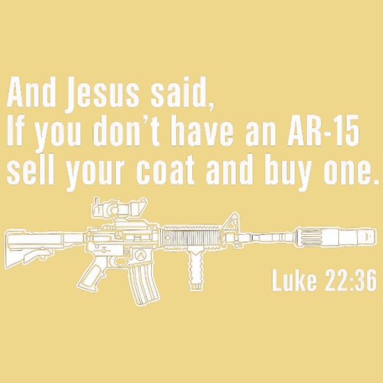 Biblical AR-15 Satire Throw Pillow Cover 18” x 18”