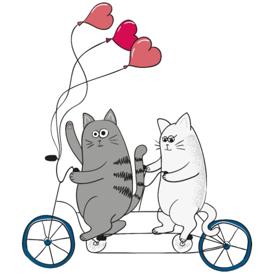 Cats on a bicycle Rectangle Magnet