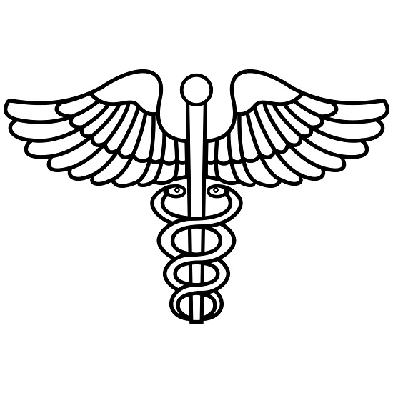 Caduceus Medicine Symbol Bella + Canvas Women's Long Sleeve T-Shirt